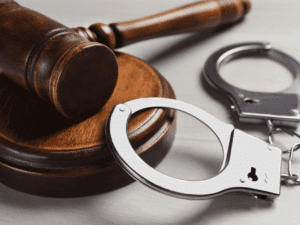 Principios informadores